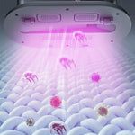 Load image into Gallery viewer, Portable Home Handheld Vacuum Mite Remover