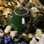 Load image into Gallery viewer, Water Heating Kettle